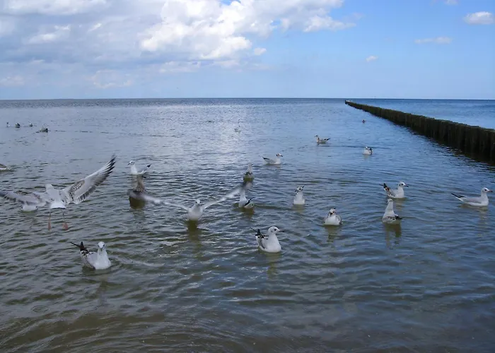 Ferienzimmer Am Walde 公寓 泽姆平